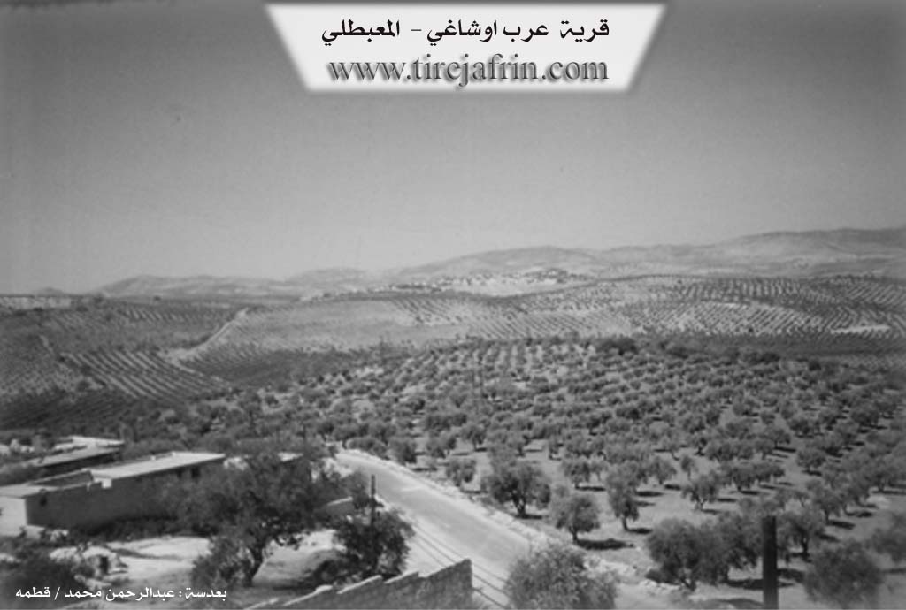 Photo of Ereba